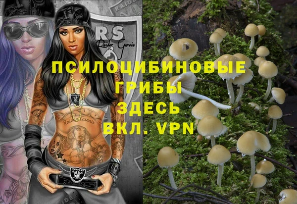 ALPHA PVP Медвежьегорск