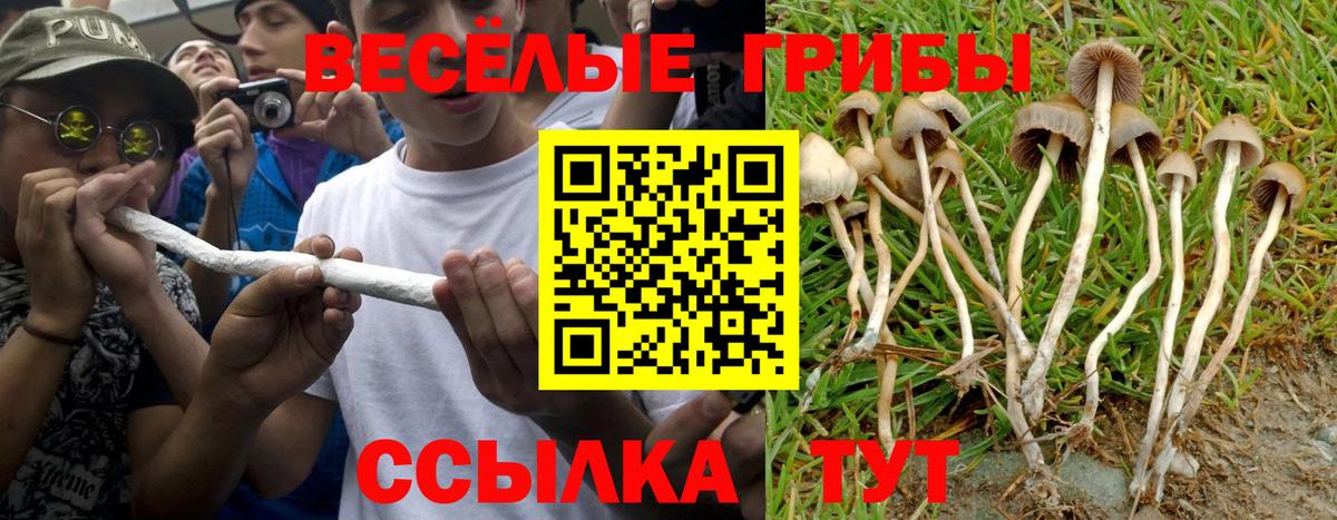 Березники  Галлюциногенные грибы мухоморы  Вход с VPN 