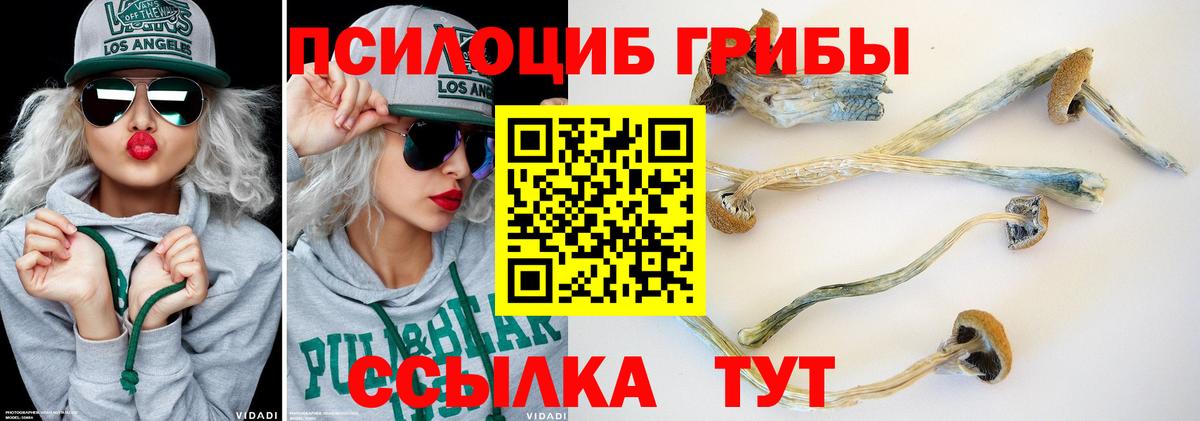 Галлюциногенные грибы Magic Shrooms Березники